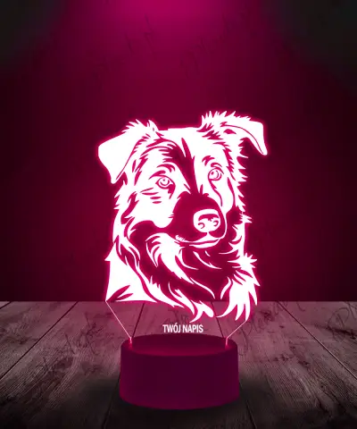 Lampka LED 3D Plexido Piesek Border Collie