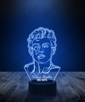 Lampka LED 3D Plexido Piosenkarz Shawn Mendes - 2