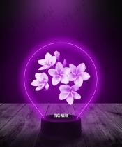 Lampka LED 3D Plexido Kwiat Lei Plumeria - 3