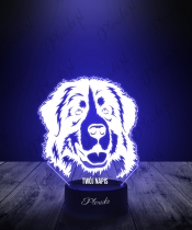 Lampka LED 3D Plexido Pies Pasterski Berneńczyk