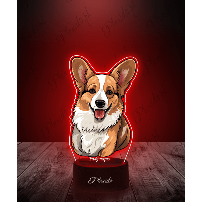 Lampka LED 3D Plexido z Nadrukiem Pies Corgi - 1