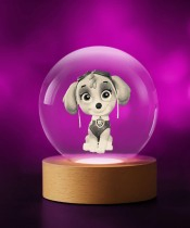 Skye Paw Patrol 3D Crystal Ball
