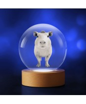 3D Kristallkugel Wasserschwein