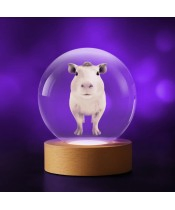 3D Crystal Ball Capybara