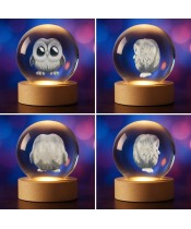 3D Kristallkugel Eule Schleiereule