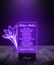 3D Plexido LED Lampe Geschenk für Eltern des jungen Paares Hochzeit Brautpaar
