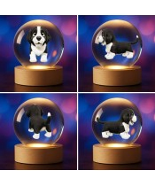 3D Crystal Ball Dog Landseer Puppy