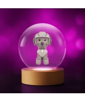 Minecraft Chicken 3D Crystal Ball