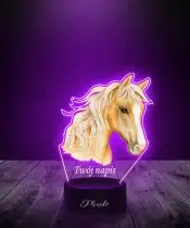 Lampka LED 3D Plexido z Nadrukiem UV Koń Rumak