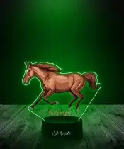 3D Plexido LED Lamp with UV Print Horse Steed