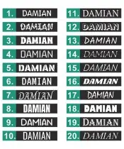 Illuminated Driver's License Plate for Truck or Bus - Your Own Premium Design