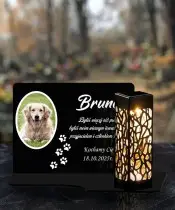 Solar-LED-Kerze für Hunde und Katzen mit Foto für einen Grabstein