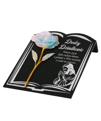 Premium Book Statuette 22...