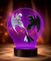 3D-Plexido-LED-Lampe mit „How to Train Your Dragon Toothless and Fury“-Aufdruck