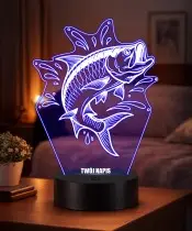 copy of Frozen Elsa Anna LED 3D Lamp Personalized Name Gift for a Girl