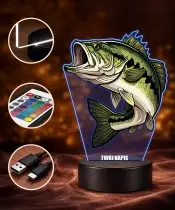 copy of Die Eiskönigin Elsa Anna LED 3D Lampe mit personalisiertem Namen – Geschenk für Mädchen