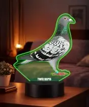 3D-Plexido-LED-Lampe mit Aufdruck „Tiere, Vögel, Tauben“.