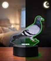 3D LED Lamp Plexido with Print Bird Pigeon