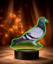 3D LED Lamp Plexido with Print Bird Pigeon
