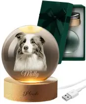 3D-Kristallkugel mit Foto eines Hundes und personalisiertem Namen