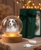 3D Crystal Ball with a Photo of a Pet Dog with a Name Personalized
