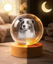 Kula Kryształowa 3D Zdjęcie Pupila Psa z Imieniem Personalizowana