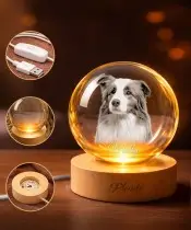 3D Crystal Ball with a Photo of a Pet Dog with a Name Personalized
