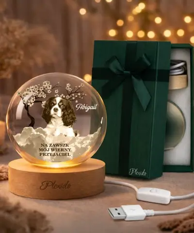 copy of 3D Crystal Ball...