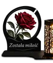 Róża — zdjęcie 2