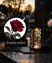 Róża — zdjęcie 3