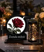 Róża — zdjęcie 5