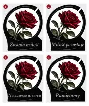 Róża — sentencje 1–4