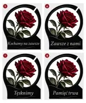 Róża — sentencje 5–8