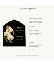 Znicz solarny – Delikatność wspomnień - widok produktu