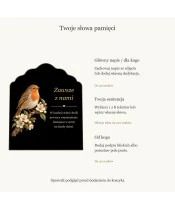 Znicz solarny – Powracająca pieśń - widok produktu
