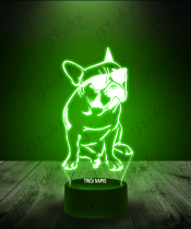 lampka_led_3d_plexido_buldog_w_okularach