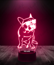 lampka_led_3d_plexido_buldog_w_okularach