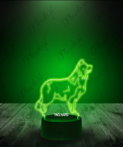 Lampka LED 3D Plexido Pies Border Collie - 2